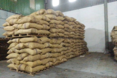 171F795F-6DC7-4615-BCE0-6EBB05D8B093_1_105_c