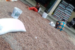 3E12008A-C93C-4722-907C-2CE22B8DDE96_1_105_c