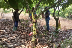 80C5F79B-3A81-455C-83E3-A0896C095EA0