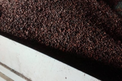 97420A7D-BB27-4285-9137-EB36A7C92555_1_105_c