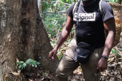 D34FC5F9-2431-4E97-82CC-7B0737FD846B_1_105_c