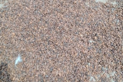 DD5C3A11-3A23-41B0-B6DF-A99DF8FF6B90_1_105_c