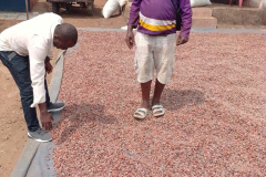 E85EC000-E4C7-476E-89D0-0A4F05F7371B_1_105_c