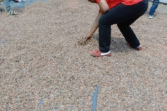 F96D99D1-3D09-4FF9-B4D0-29BEF8DEF398_1_105_c