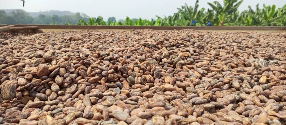 3A7CE594-5FCA-452D-AFB3-8335A8DCA593