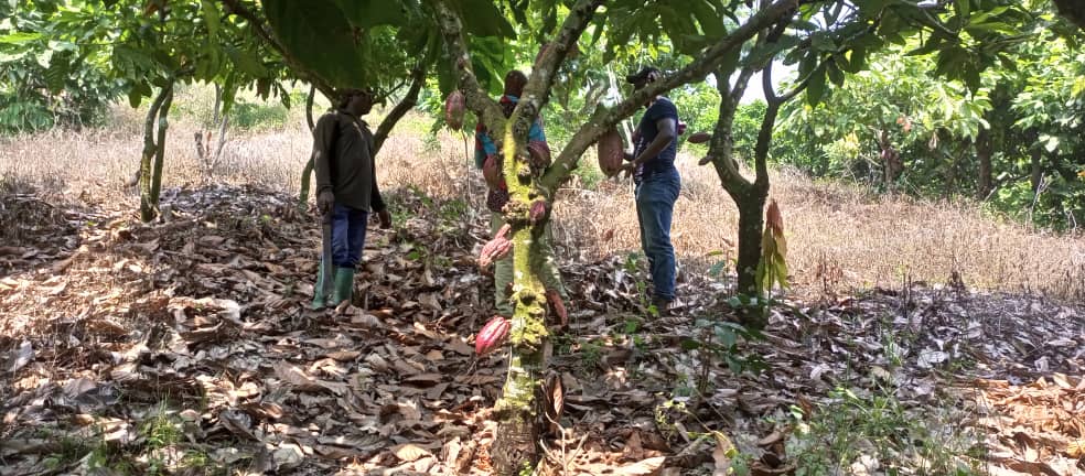 80C5F79B-3A81-455C-83E3-A0896C095EA0